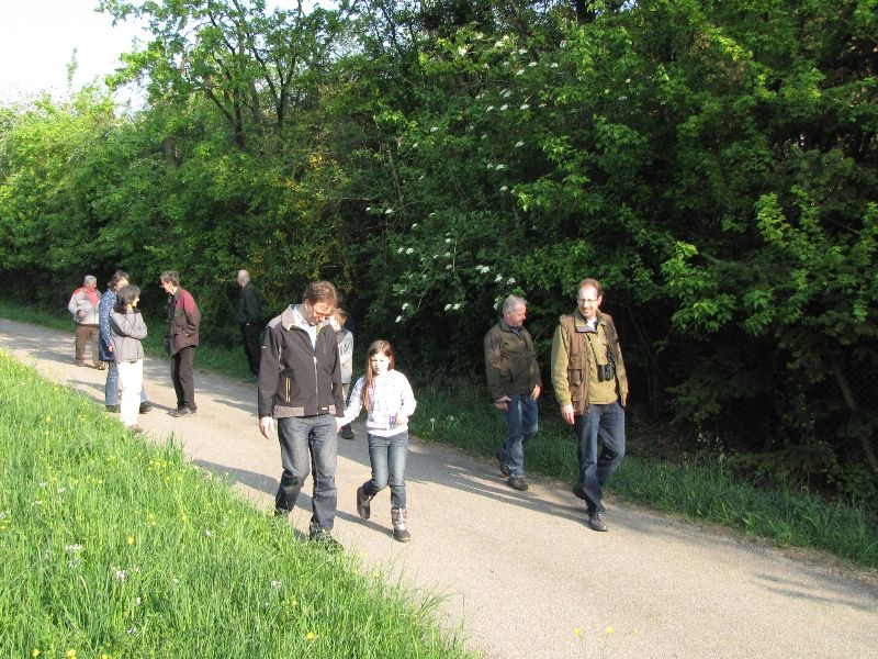Bild 7